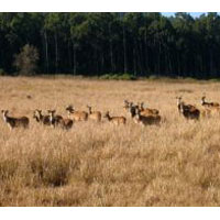 Delhi - Nainital - Corbett - Haridwar - Mussoorie - Delhi Tour Package