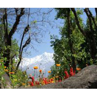 Delhi - Shimla - Manali - Dharamshala - Dalhousie - Vaishnodevi - Chandigarh - Delhi Tour