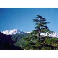 Delhi - Shimla - Manali - Dharamshala - Dalhousie - Chandigarh - Delhi Tour Package