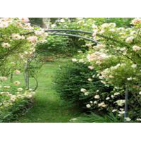 Delhi - Shimla - Manali - Chandigarh - Delhi Tour Package