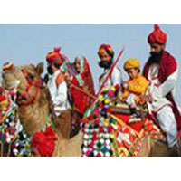 Rajasthan Wild Tour