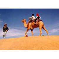 Desert Triangle Tour Package