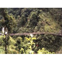 Gangtok - Lachen - Lachung - Pelling - Darjeeling Tour Package