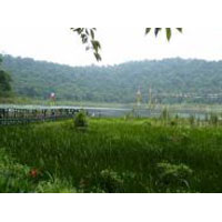 Gangtok - Pelling - Darjeeling Tour Package