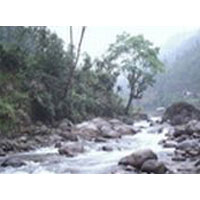 Dazing North East Tour