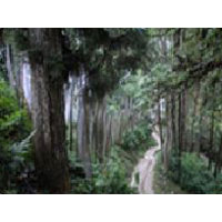 Dazing North East Tour