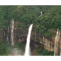 Dazing North East Tour