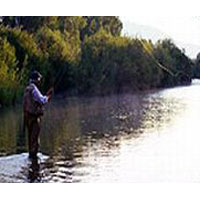 Dazing North East Tour