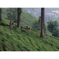 Dazing North East Tour Package