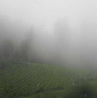 Bangalore - Mysore - Ooty - Kodaikanal Tour