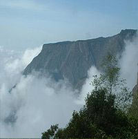 Bangalore - Mysore - Ooty - Kodaikanal Tour