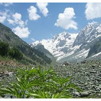 Leh - Ladakh Tour Packages