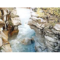 Char - Dham Yatra Package