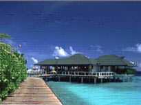 Mesmerizing Maldives Tour Package