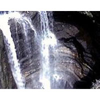 Glimpse of Kathmandu - Pokhara - Chitwan Tour Package