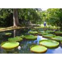 Mauritius with Dubai Tour Package