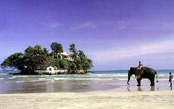 Scenic Comfort Tour Sri Lanka
