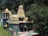 Scenic Comfort Tour Sri Lanka