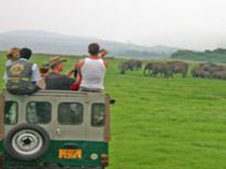 Scenic Comfort Tour Sri Lanka