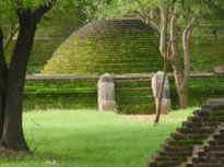 Scenic Comfort Tour Sri Lanka