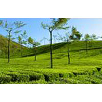 Kerala Tour Package (09 Nights/10 Days)