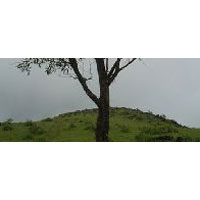 Kerala Tour Package (09 Nights/10 Days)