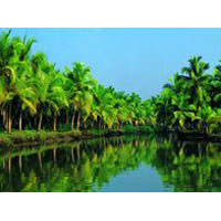 Kerala Tour Package (09 Nights/10 Days)
