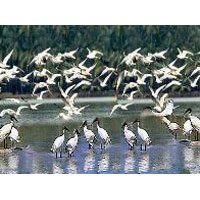 Kerala Tour Package (09 Nights/10 Days)