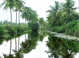 Best Of Kerala Tour For 5D/4N