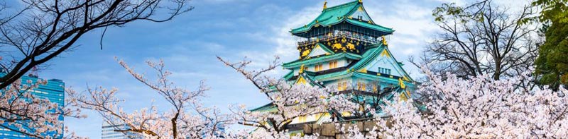 Summer Super Value Splendors of Japan Tour