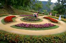 Explore & Enjoy Sri Lanka Tour