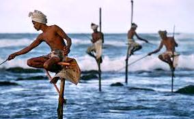 Explore & Enjoy Sri Lanka Tour