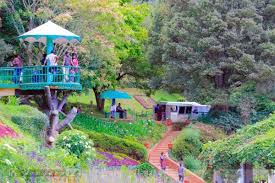 4 Days Mysore Ooty Package
