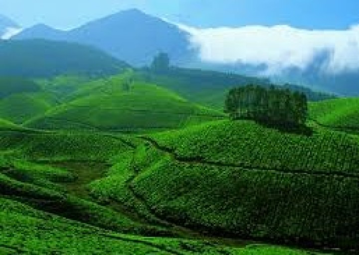 Kerala 5 Nights 6 Days Packages Tour