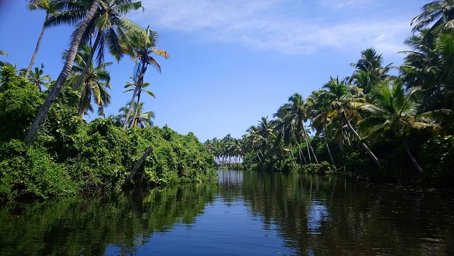Kerala Tour Packages For Couple 3 Nights 4 Days