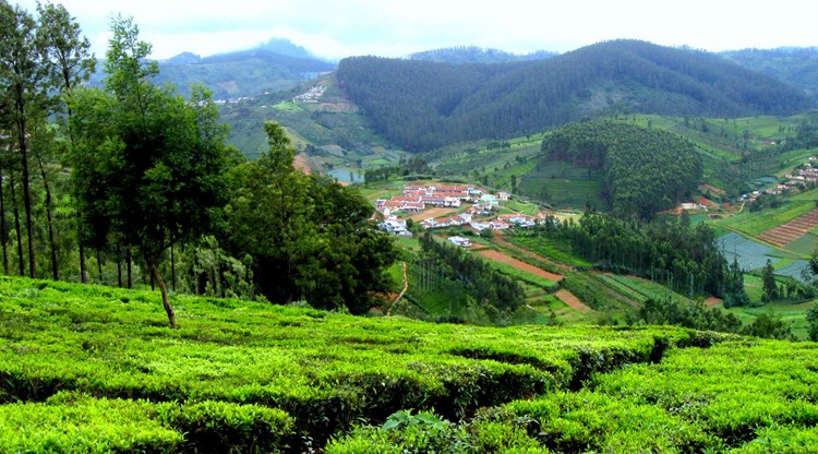 Ooty - Coonoor- Blackthunder Tour