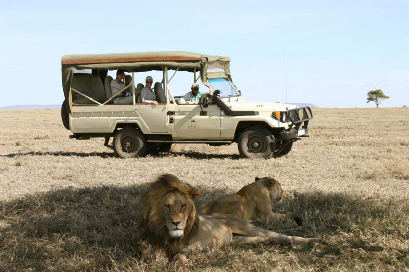 Tanzania Wildlife Safaris, Camping Safaris 10 Days Package