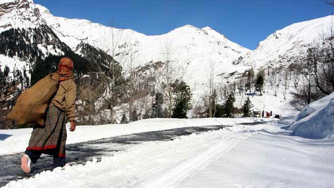 Best Of Shimla And Manali Package