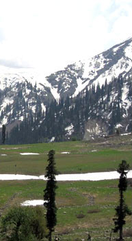 Golden Triangle & Valleys Of Srinagar Package