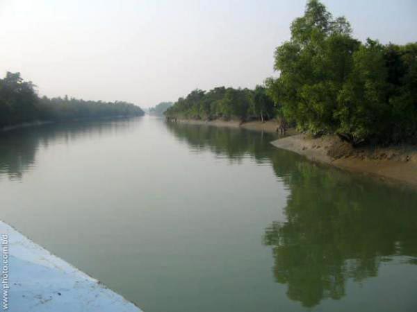 Sundarbans Forest Tour