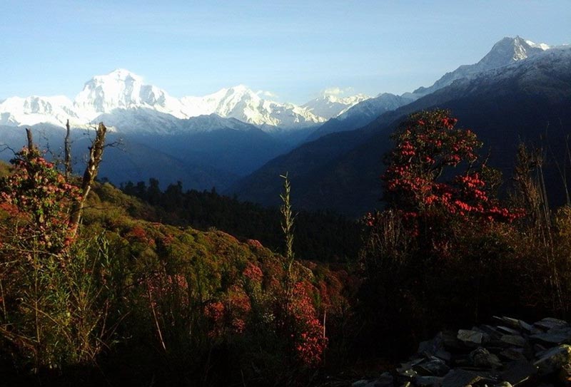 Annapurna Base Camp Trek Tour