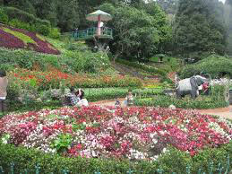 Southern Spice Package