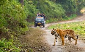 3 Night 4 Days Jim Corbett National Park