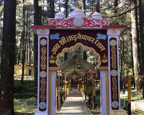 Lansdowne Jim Corbett Tour – 2 Nights 3 Days