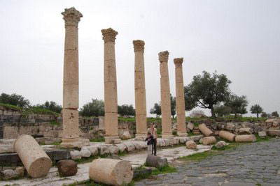 Land of Diversity Package