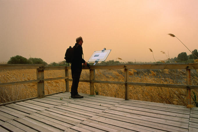 Birdwatching Wild Jordan Tour