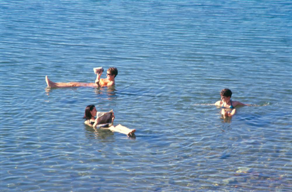 Wildlife Jordan Tour