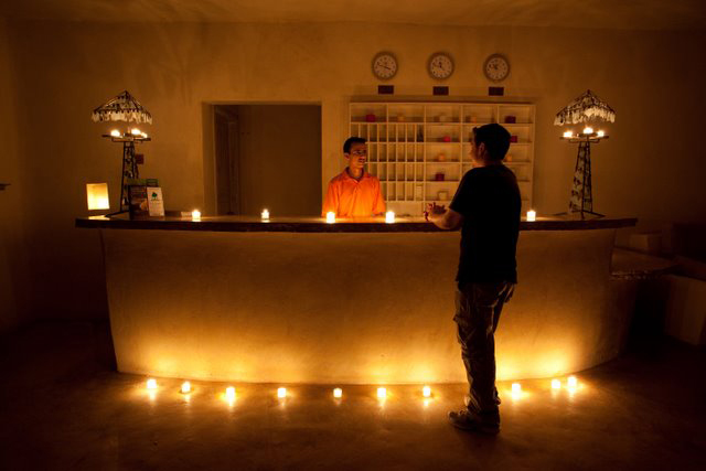 Wildlife Jordan Tour