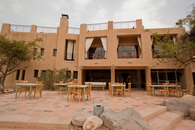 Wildlife Jordan Tour