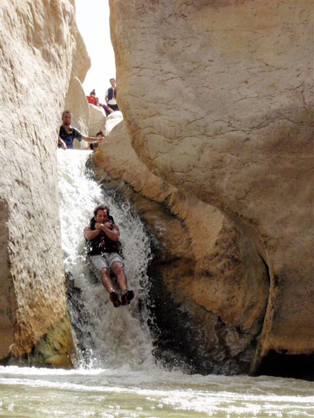 Wildlife Jordan Tour